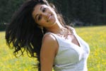 Tapsee Photos